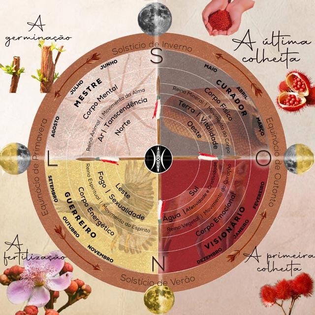 roda medicinal